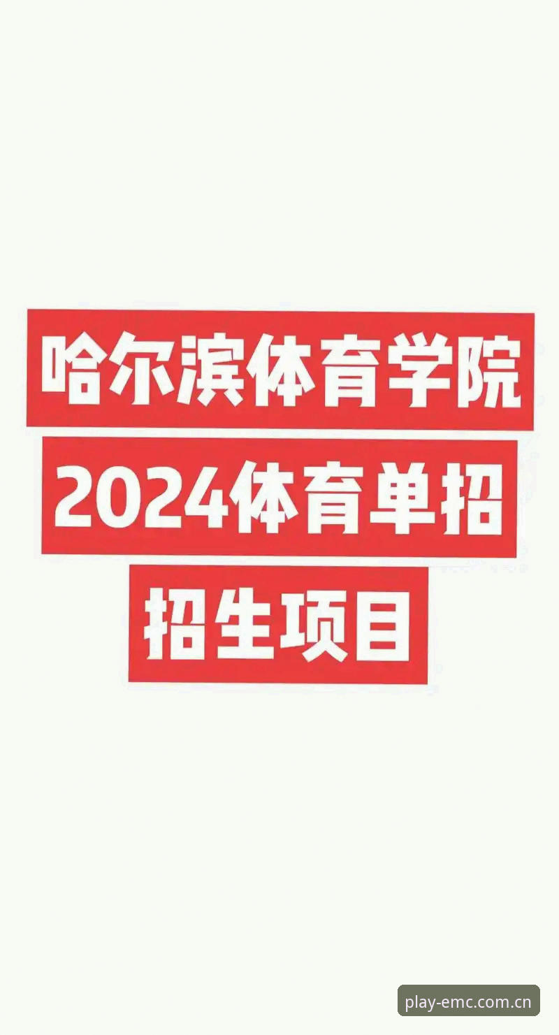 2024年体育娱乐平台快速上手：易倍体育的6大核心优势与操作指南
